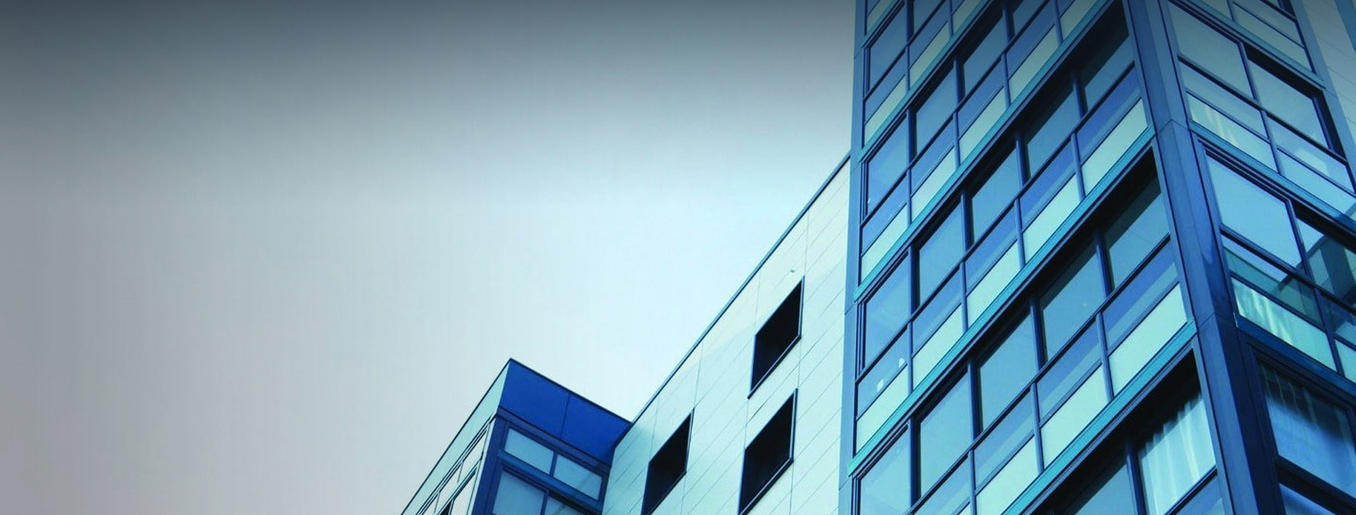 Company Profile